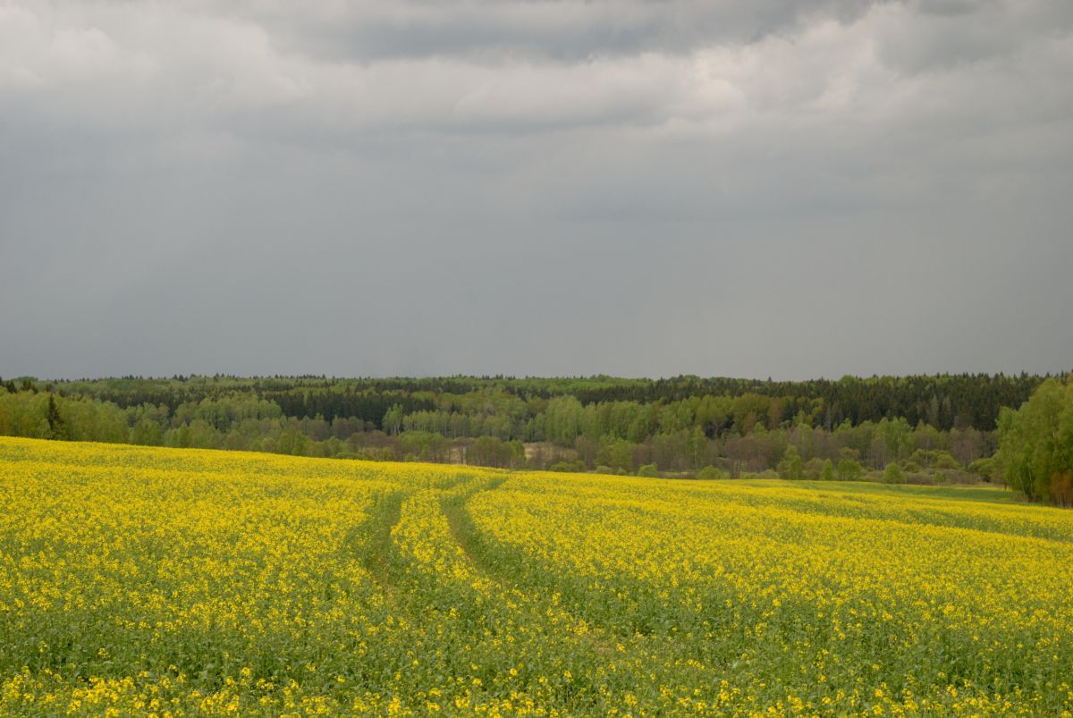 Weather Photos in Kaluga Oblast. Weather forecasts with beautiful photos by MadFox2001