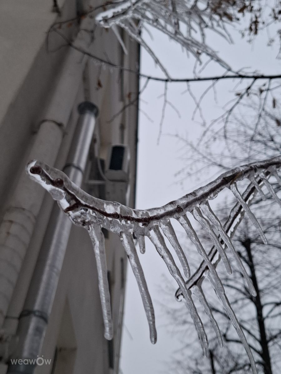 Photographer Iryna, Weather Photos in Kharkiv - Weawow