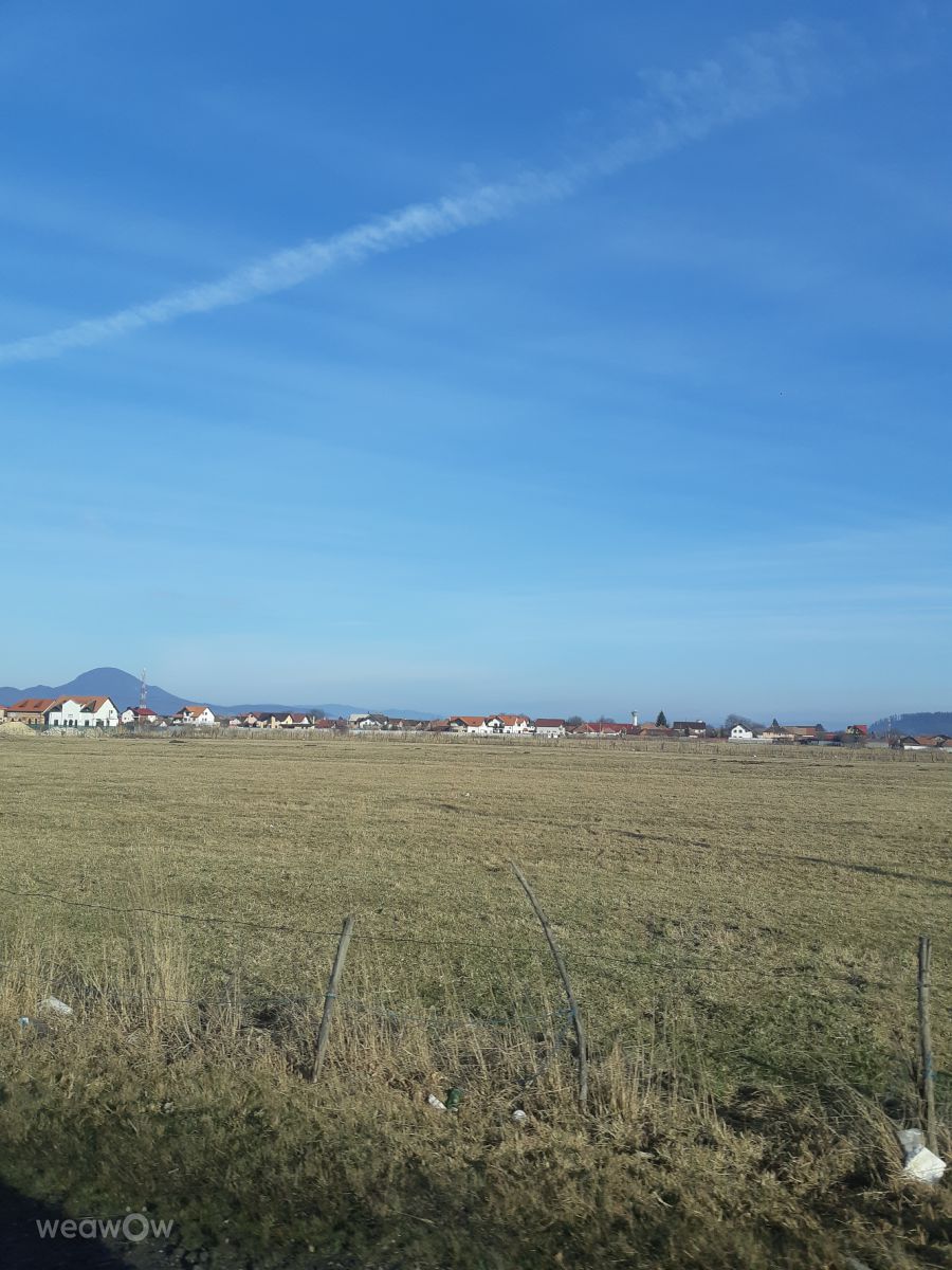 Photographe Florabresler, Photos météo à Zărnești - Weawow