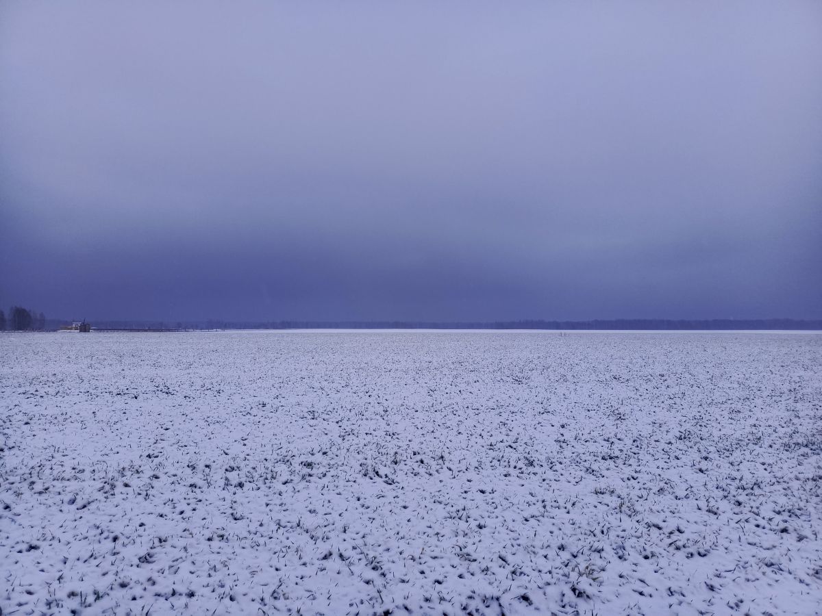 Weather forecasts with beautiful photos by Inna_Schwartz