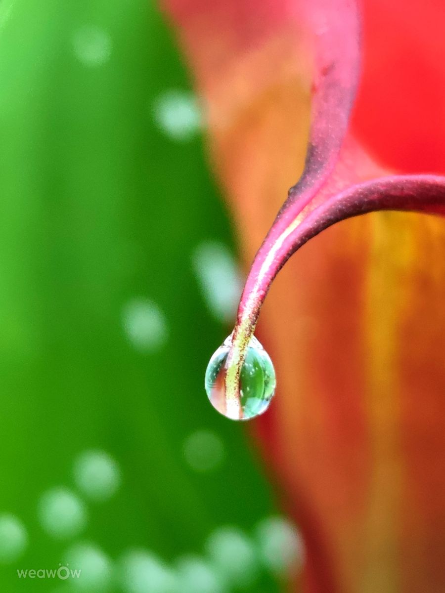 Wetter Photos Slowenien. Wettervorhersagen mit schönen Fotos von Anamarija