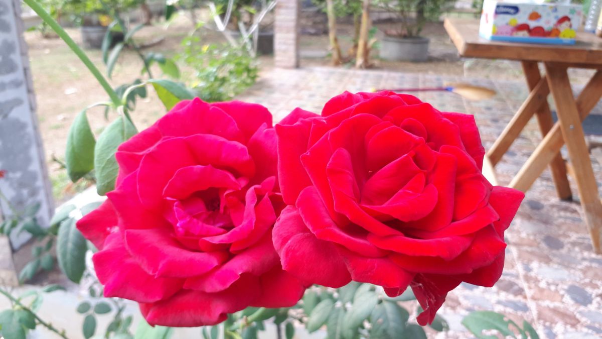 Fotos do tempo em Udon Thani. Previsões do tempo com lindas fotos de KITTIPONG554005