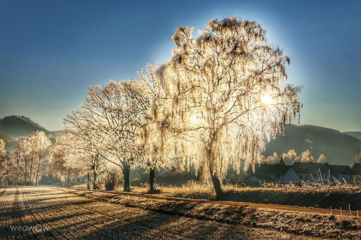 Weather forecasts with beautiful photos by Lotti5507