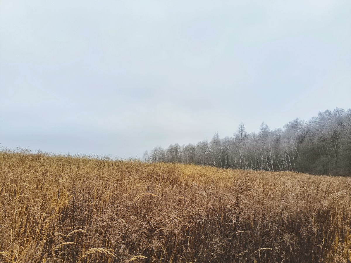 Wetter Photos Tul'skaya Oblast'. Wettervorhersagen mit schönen Fotos von Aleksei