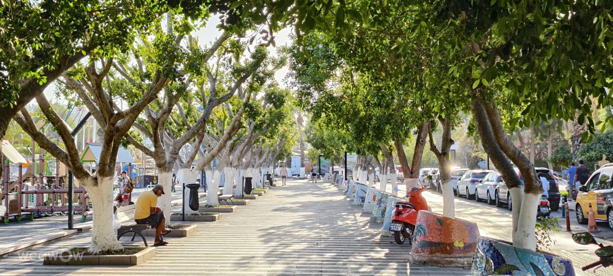 Weather Photos in Muğla. Weather forecasts with beautiful photos by Jarvis412