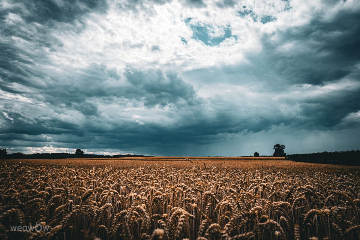 Fotos do tempo em Kranzberg. Previsões do tempo com lindas fotos de Li-Bro