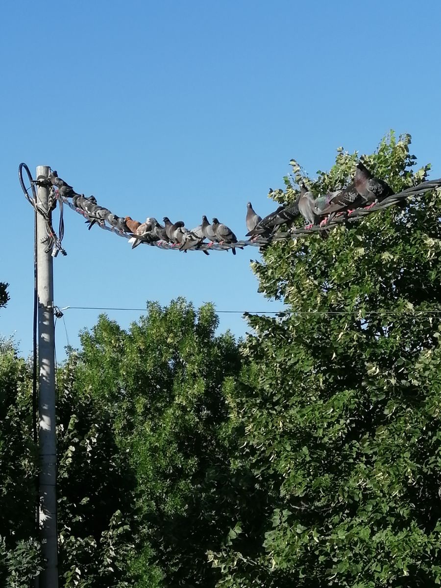 Weather Photos in Arad. Weather forecasts with beautiful photos by Augustin