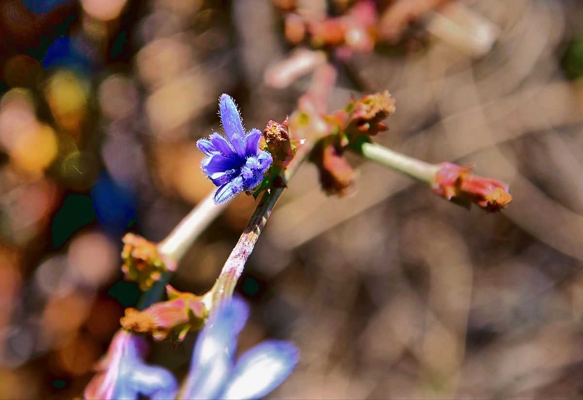 Dự báo thời tiết với những bức ảnh đẹp của ConstantinR