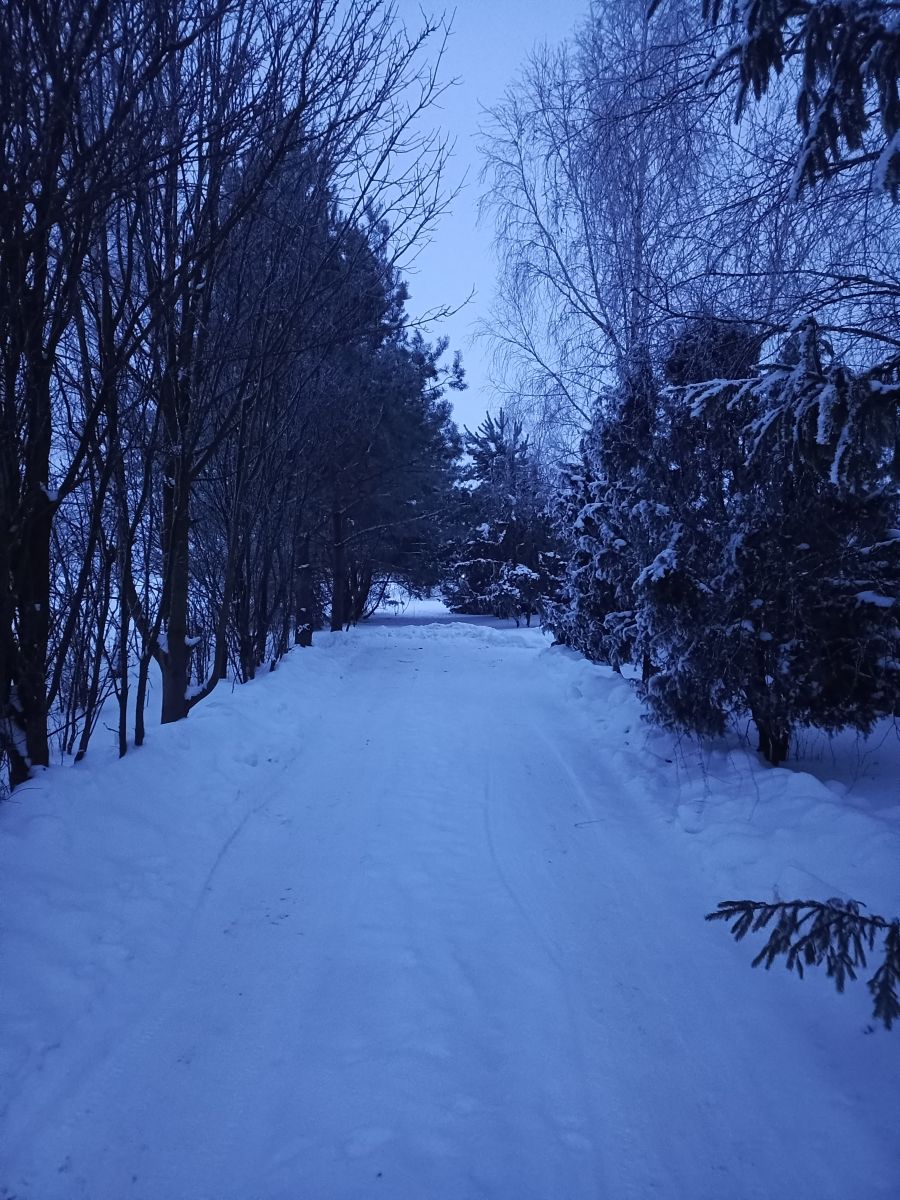 Weather Photos in Belarus. Weather forecasts with beautiful photos by Inna_Schwartz