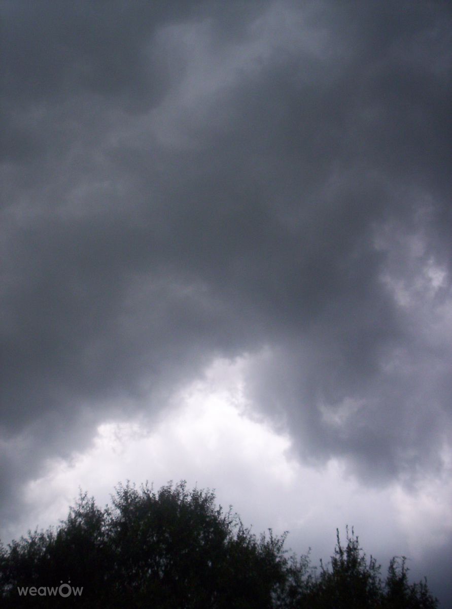 Photos météo à Vidalia. Prévisions météo avec de superbes photos de Nicole Ferretti