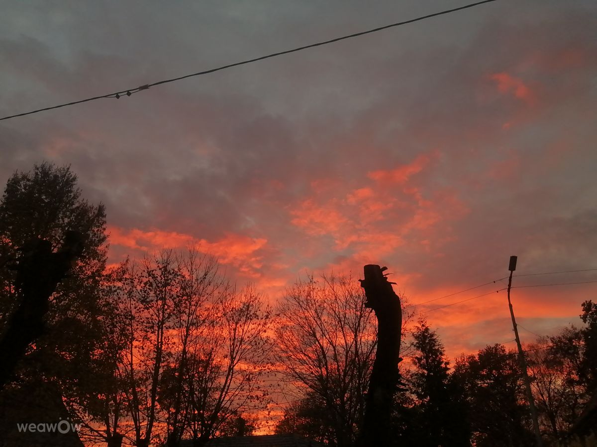 Kaliningrad Oblast的天气照片. 天气预报，带Gelimina_lion精美的照片