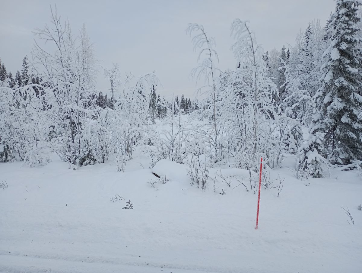 Fotos do tempo em Finlândia. Previsões do tempo com lindas fotos de Juki