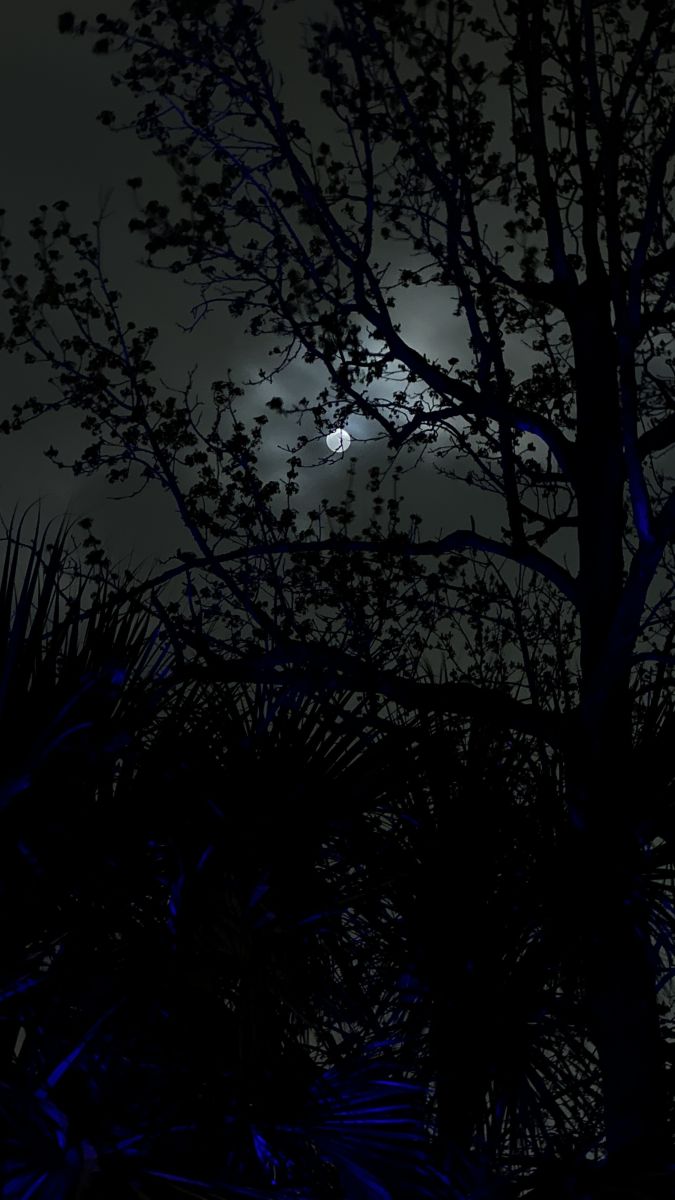 摄影师 RWDacy_SkyArt，77379的天气照片 - Weawow