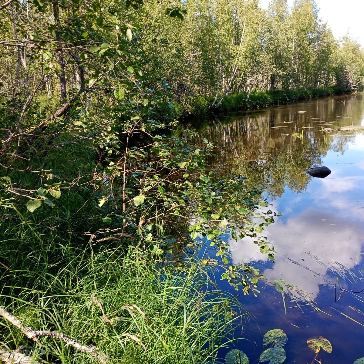 Fotos sobre el clima en Finlandia. Pronósticos del tiempo con hermosas fotos de Juki