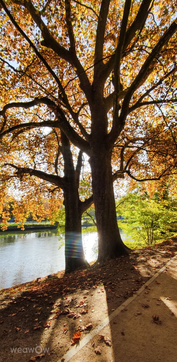 Weather Photos in بلجيكا. Weather forecasts with beautiful photos by agOost