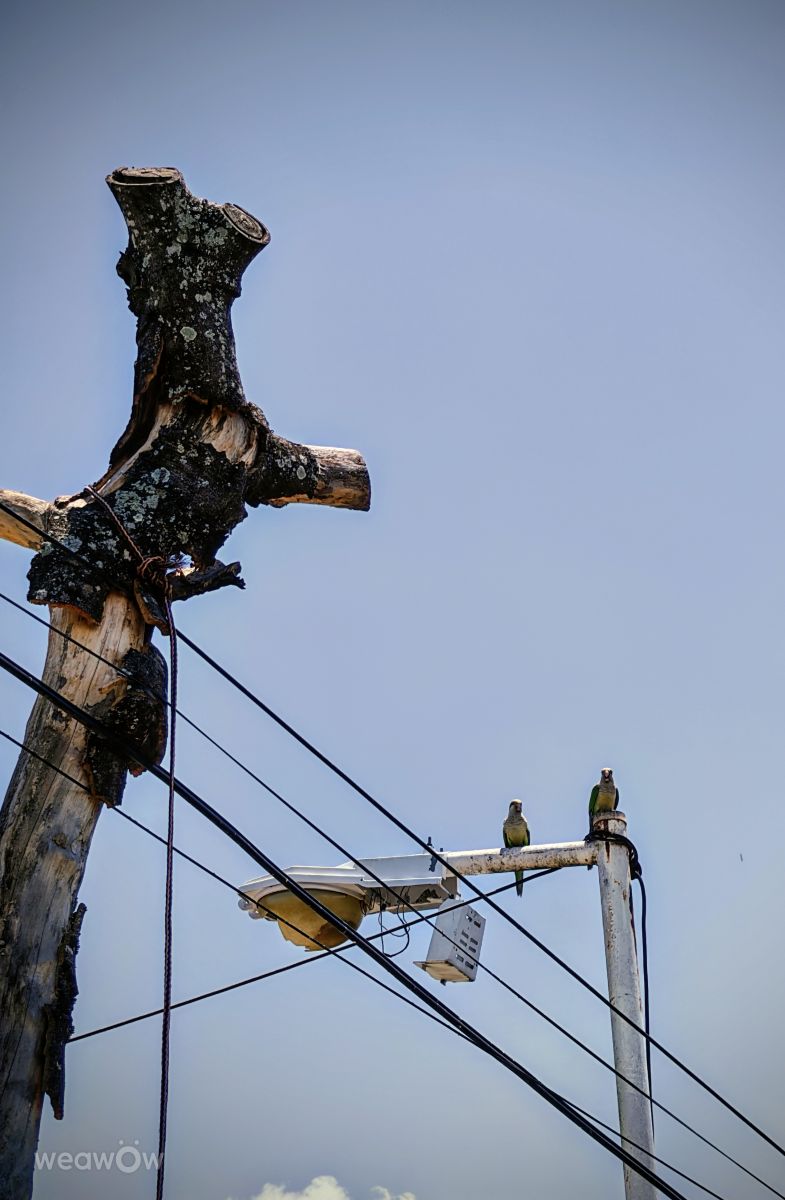 Clorindaの天気写真. alejandrodlcの美しい写真による天気予報