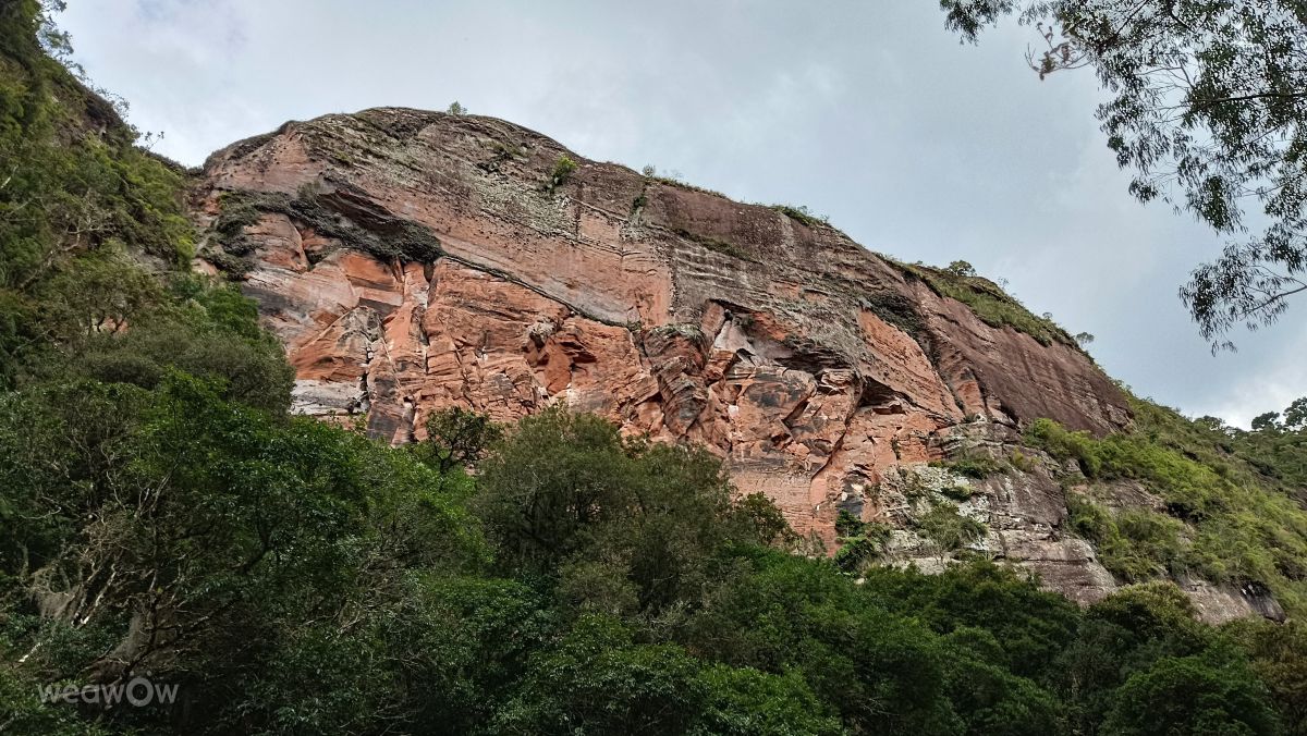 São Joaquim的天气照片. 天气预报，带LariSilva精美的照片