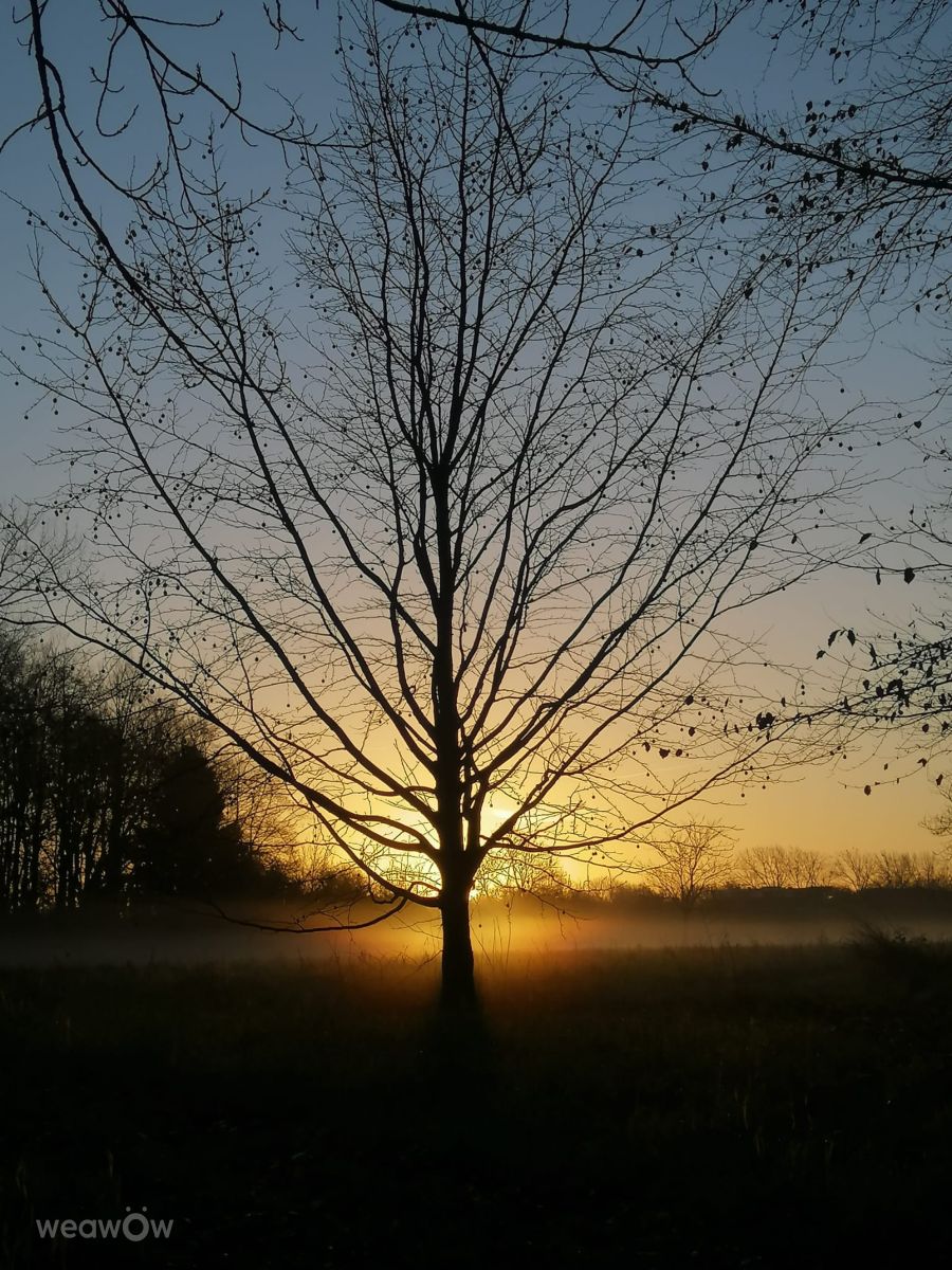 Photographer DaB, Weather Photos in Veluwe - Weawow