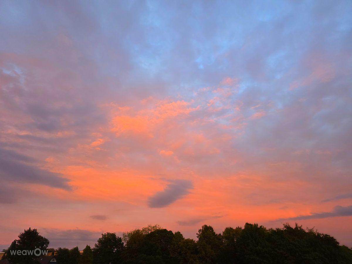 Weather forecasts with beautiful photos by Seni