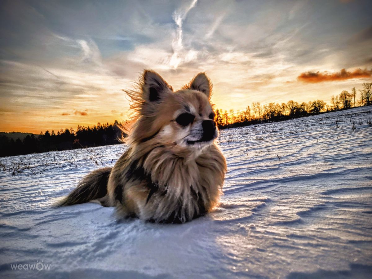 Weather Photos in Plzeň Region. Weather forecasts with beautiful photos by hejpetrpepa