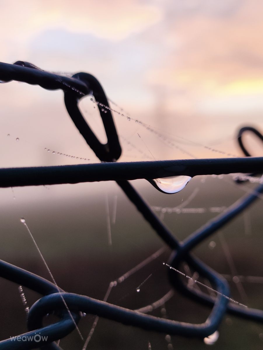 Photographe Brtd, Photos météo à Allersberg - Weawow