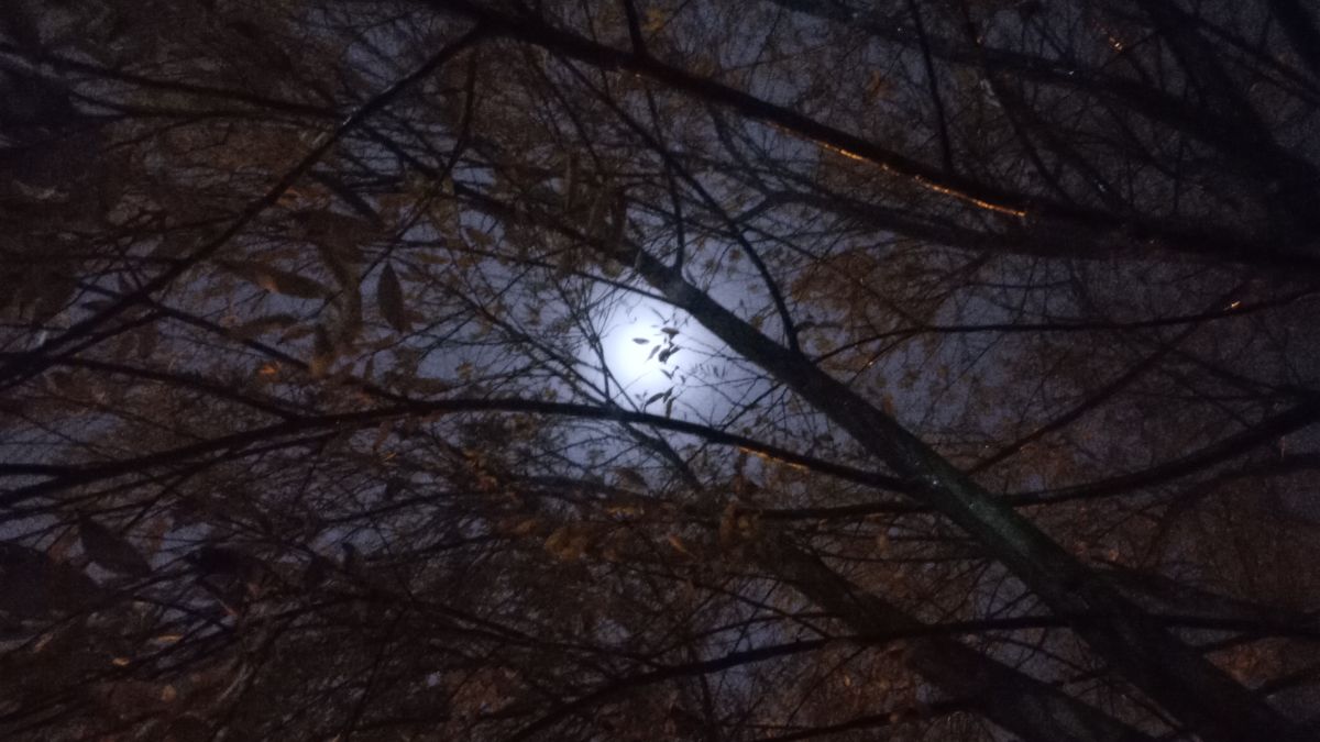 Wetter Photos Buenos Aires. Wettervorhersagen mit schönen Fotos von _Nubes