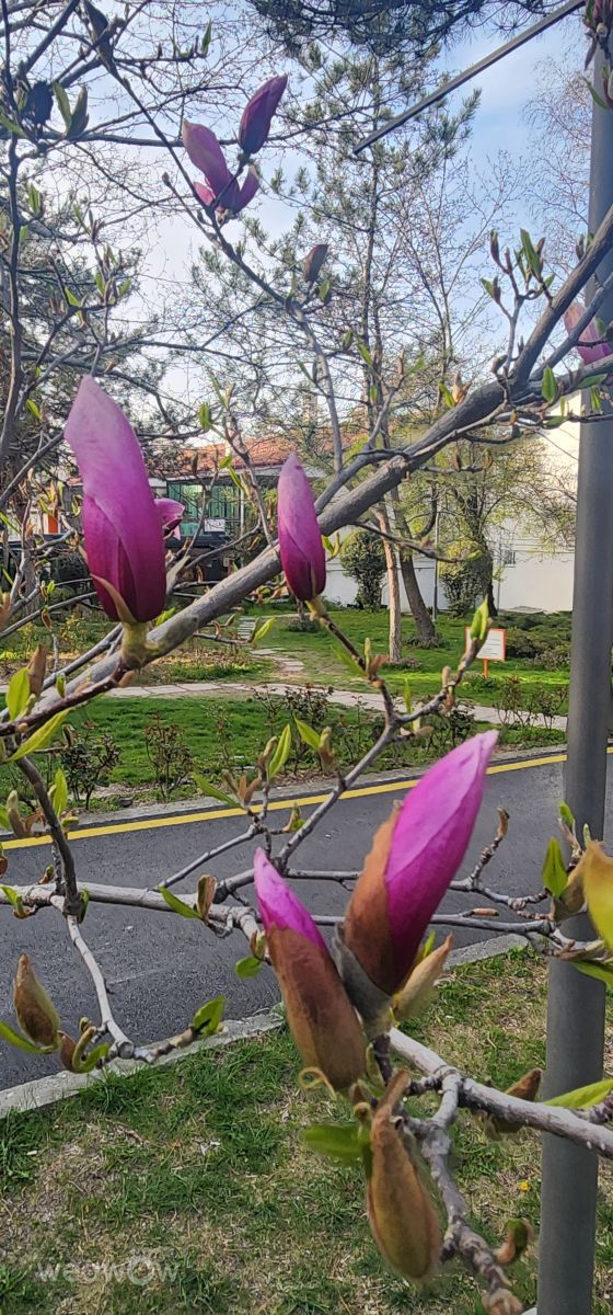 Photos météo à Ankara. Prévisions météo avec de superbes photos de BülentKuşhan
