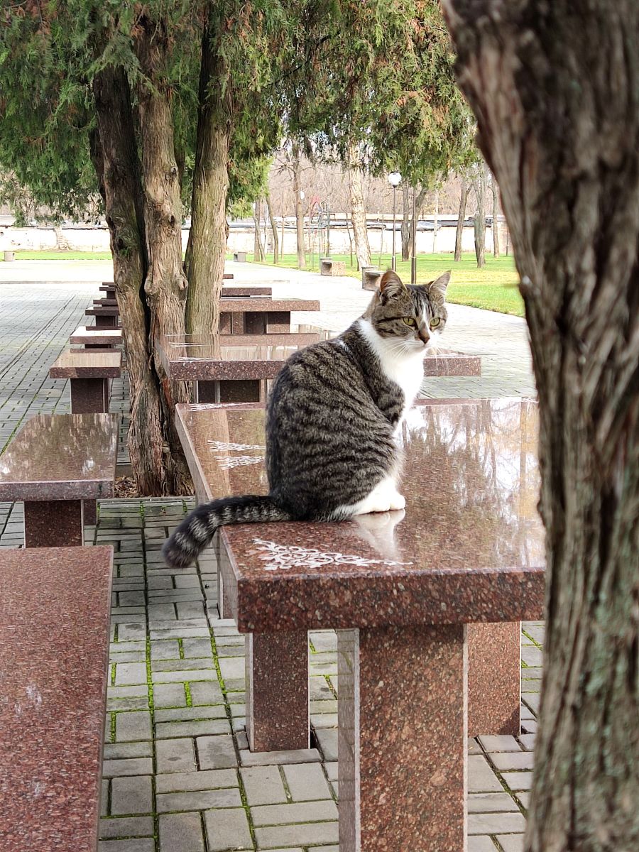 Weather Photos in Dnipropetrovsk. Weather forecasts with beautiful photos by Natal'a Nogtenko