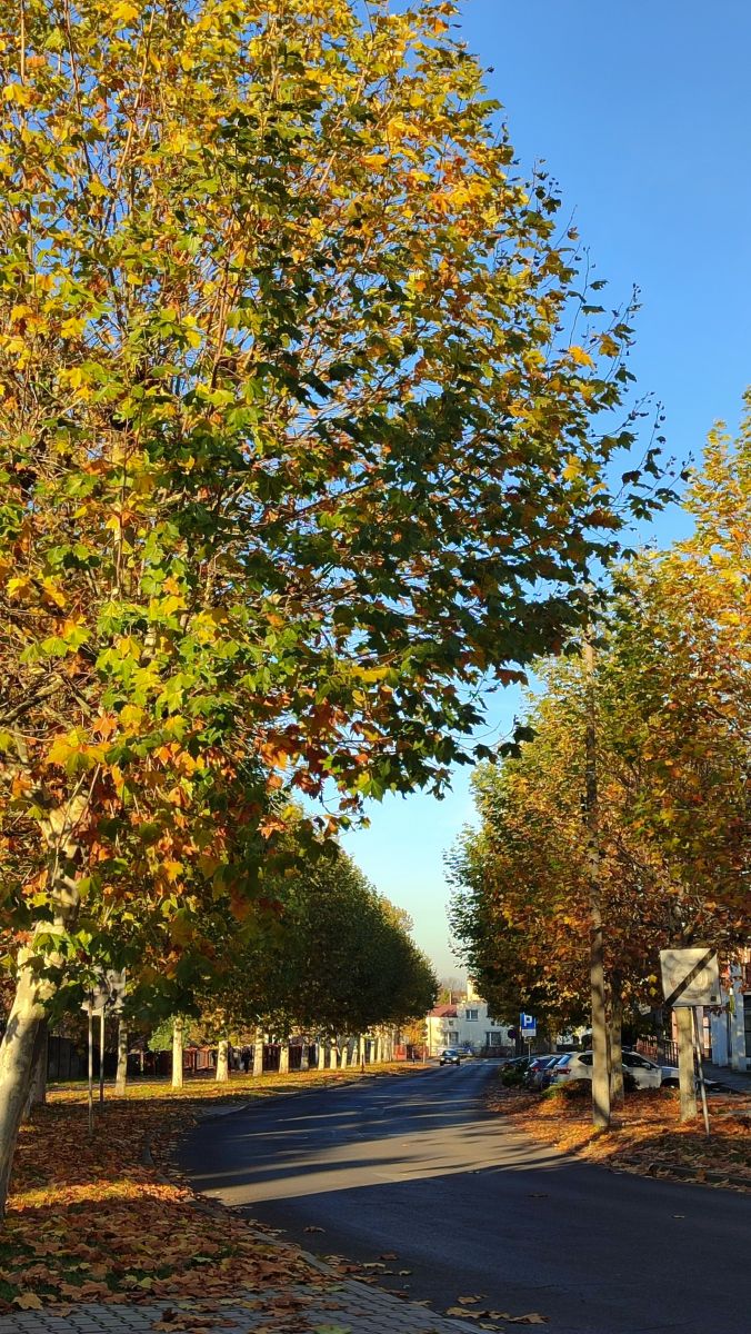 Fotógrafo Romek58, Fotos sobre el clima en Wieluń - Weawow