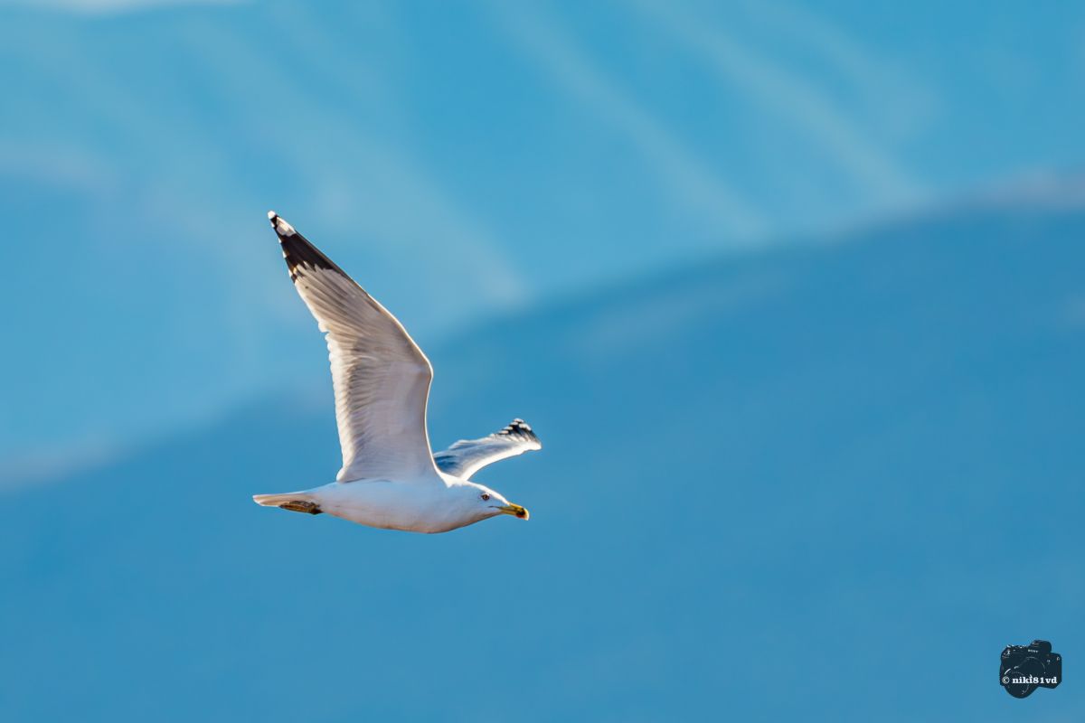 Фотографии Погоды в Пловдив. Прогнозы погоды с чудесными фотографиями, сделанными niki81vd