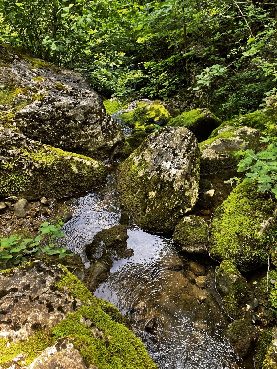 ヴラツァの天気写真. NikolayPaunchevの美しい写真による天気予報