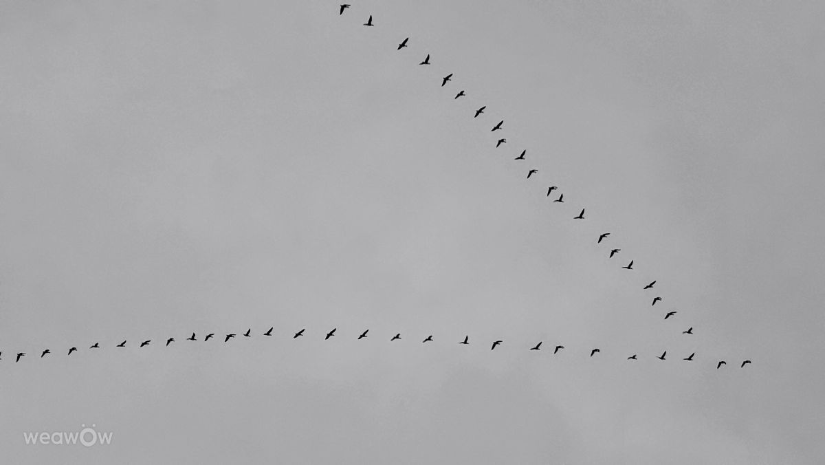 Hình ảnh Thời tiết ở Slovakia. Dự báo thời tiết với những bức ảnh đẹp của Miloš_SK