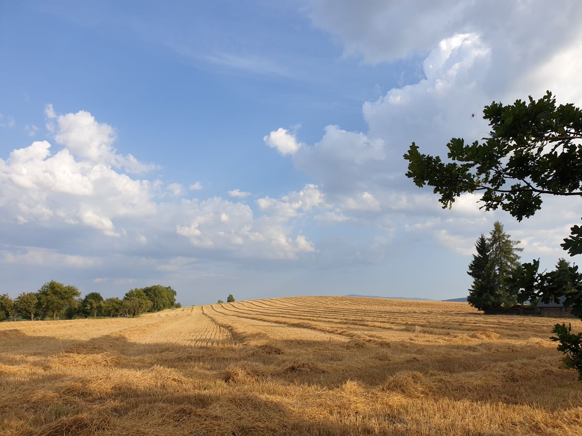 Wettervorhersagen mit schönen Fotos von Silvestre97