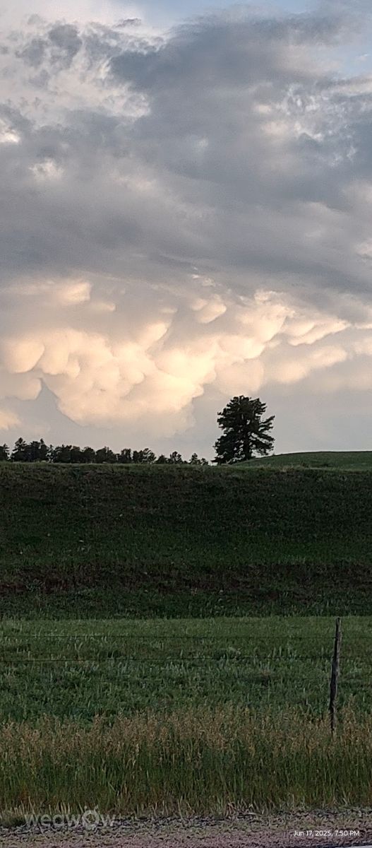 Wetter Photos Pine View Airport. Wettervorhersagen mit schönen Fotos von BonnieC85