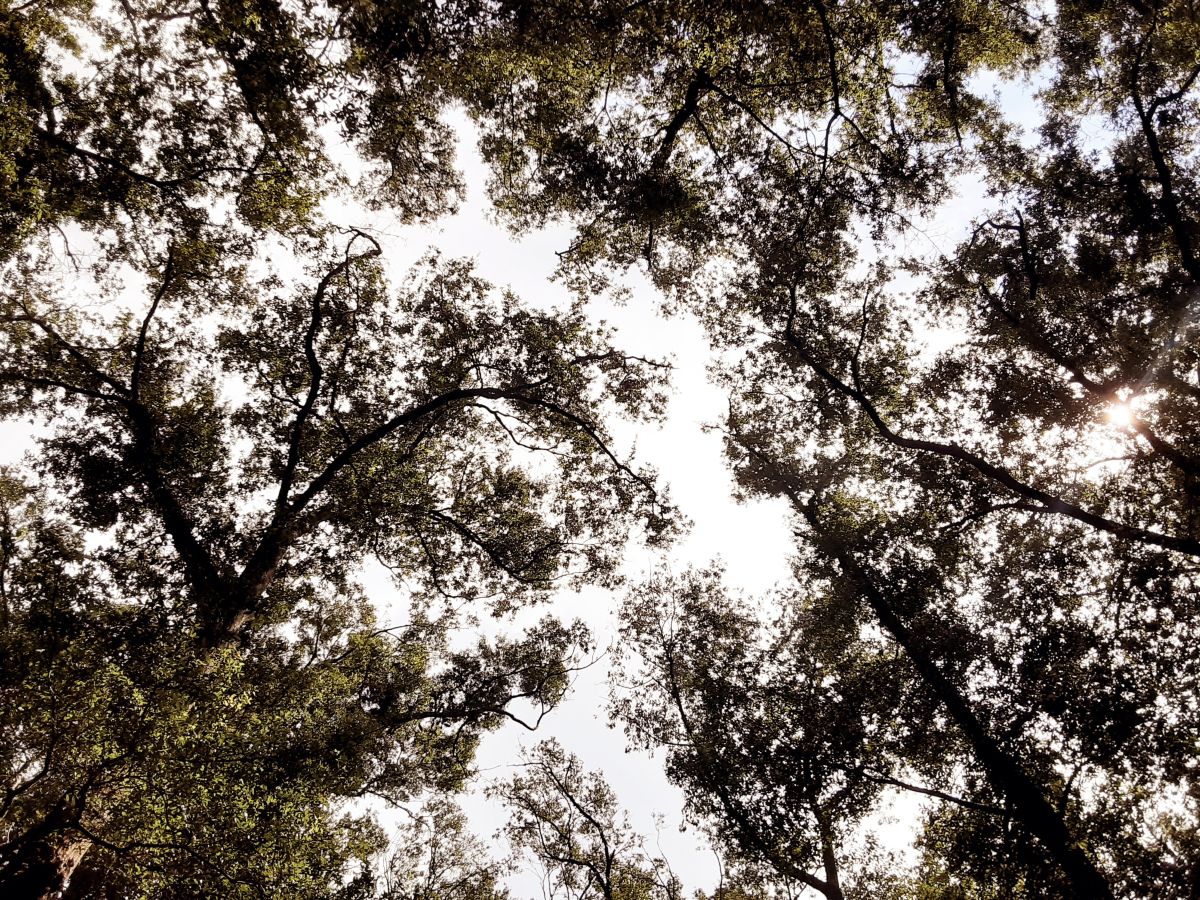 Photographer 1stEyeFocused, Weather Photos in Branford - Weawow