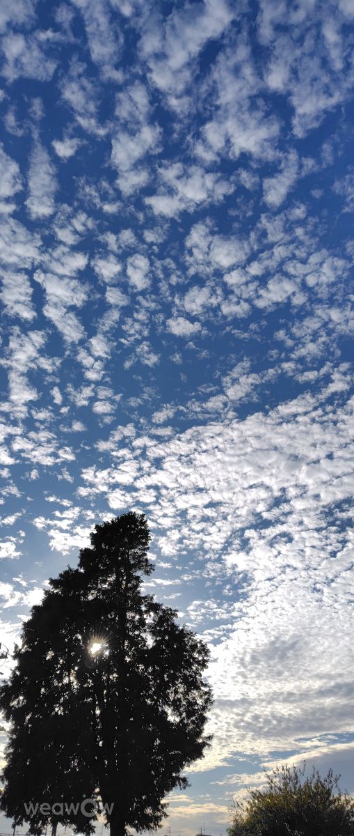 Weather Photos in Honshu. Weather forecasts with beautiful photos by umemui