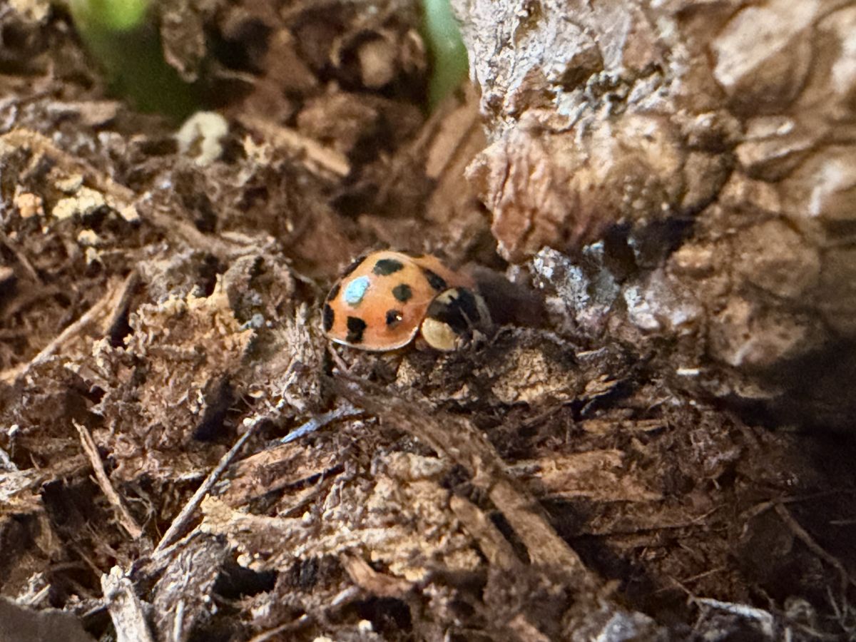Photographe SwissEloi, Photos météo à Reconvilier - Weawow