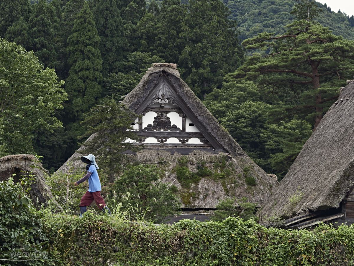 Weather Photos in Gifu. Weather forecasts with beautiful photos by fcuchillo
