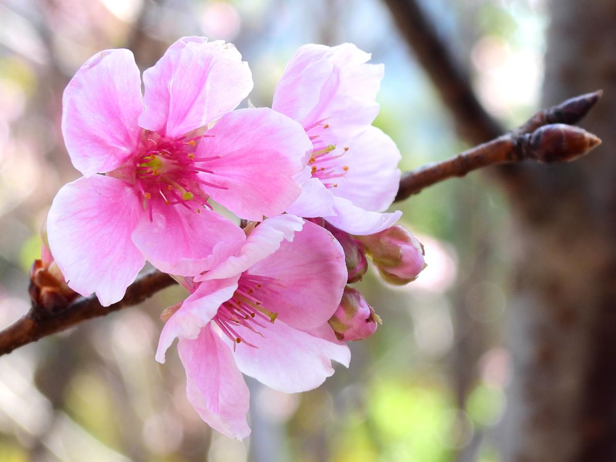 Weather Photos in Hong Kong. Weather forecasts with beautiful photos by Ensign_Lau