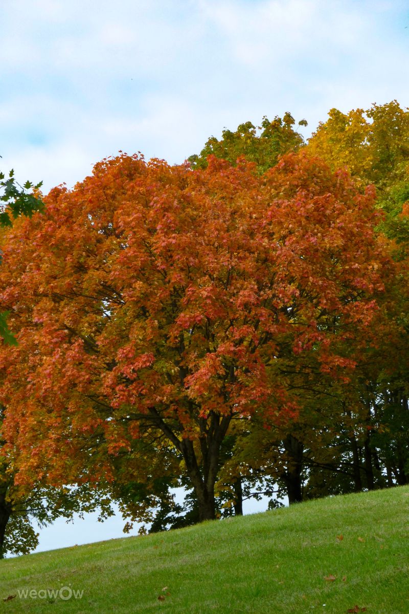 Fotos do tempo em Vilnius. Previsões do tempo com lindas fotos de Luka