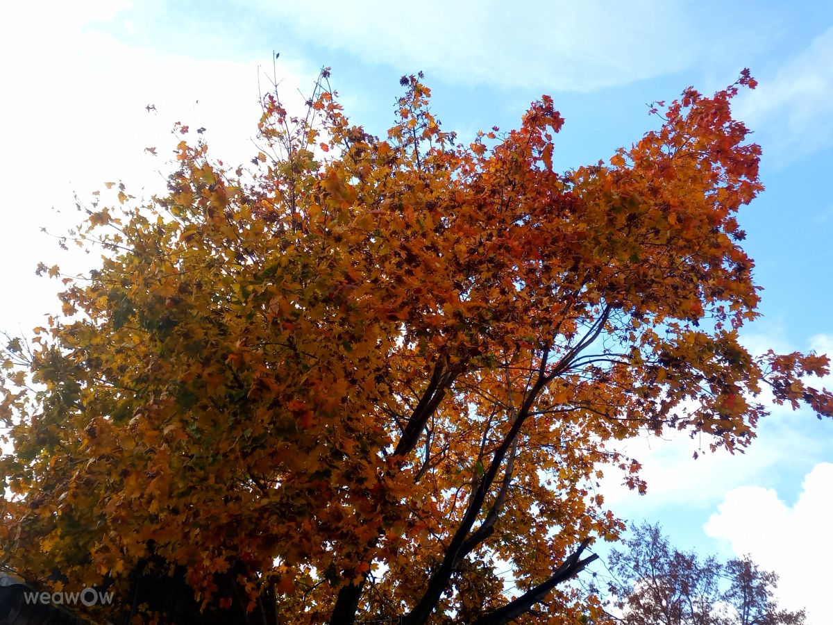 Wetter Photos Oblast Moskau. Wettervorhersagen mit schönen Fotos von Evgeniya77