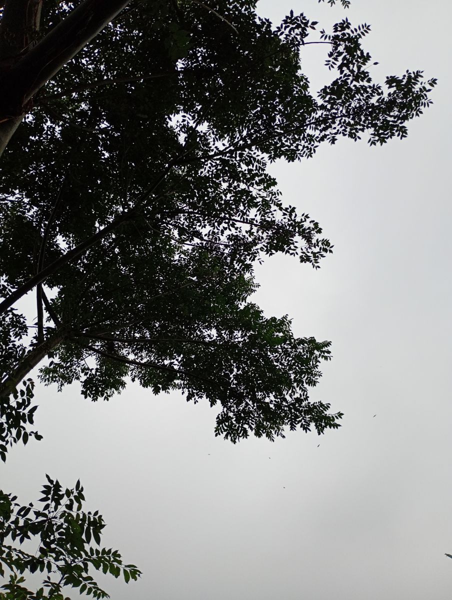 Veracruz的天气照片. 天气预报，带Bluking精美的照片