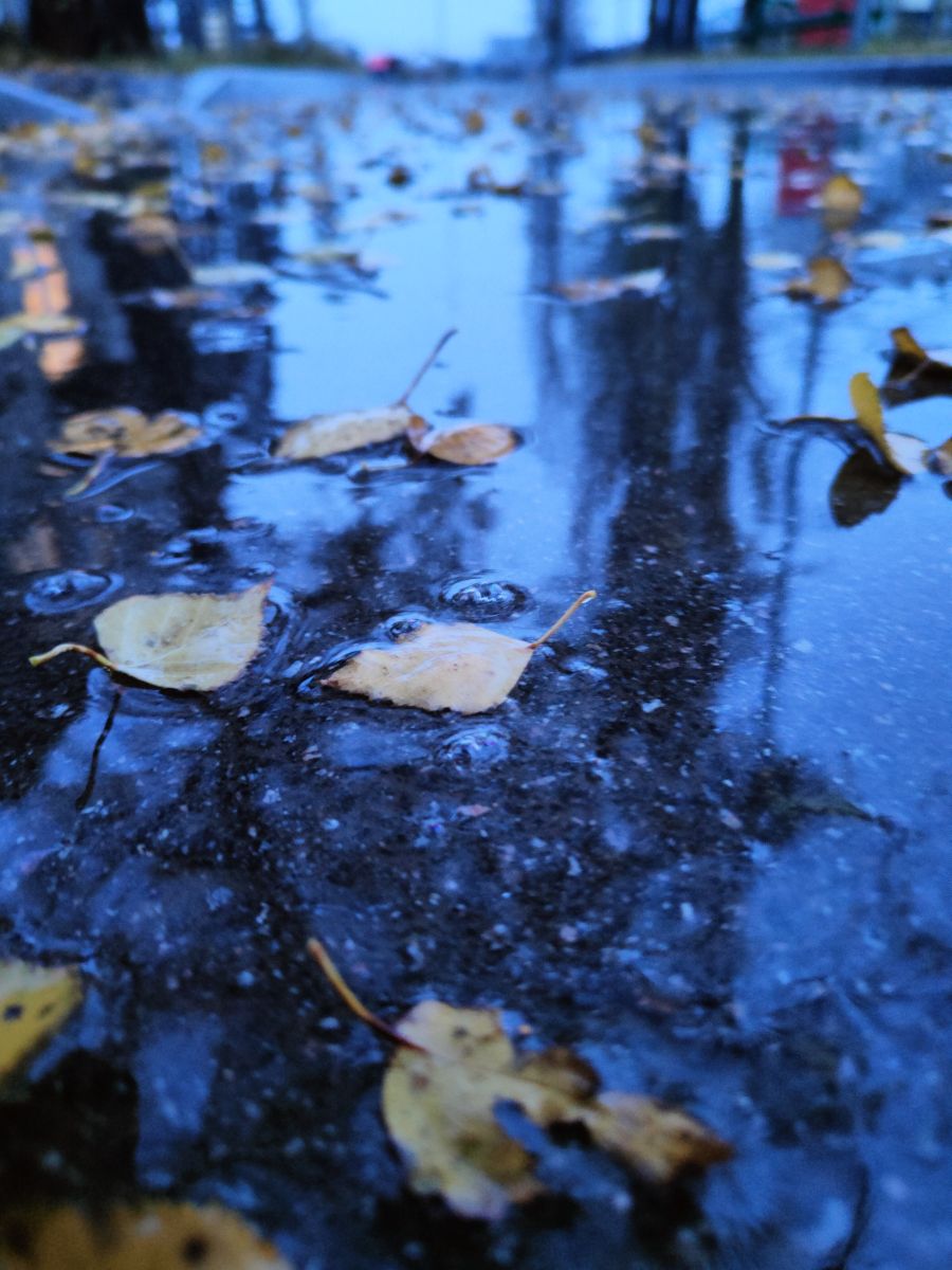 Fotos sobre el clima en Voronezh. Pronósticos del tiempo con hermosas fotos de Анастасия_Лукиных