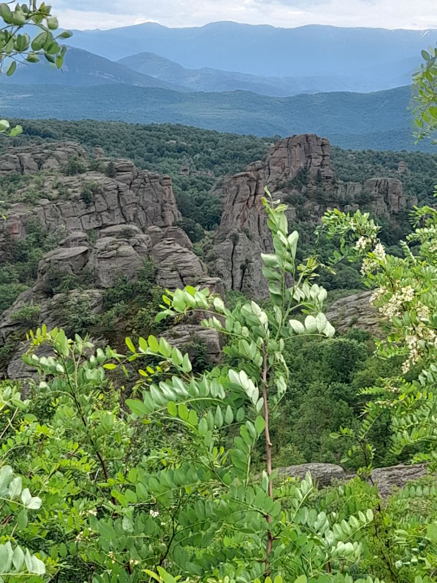 Фотографии Погоды в Belogradchik. Прогнозы погоды с чудесными фотографиями, сделанными Ванеса