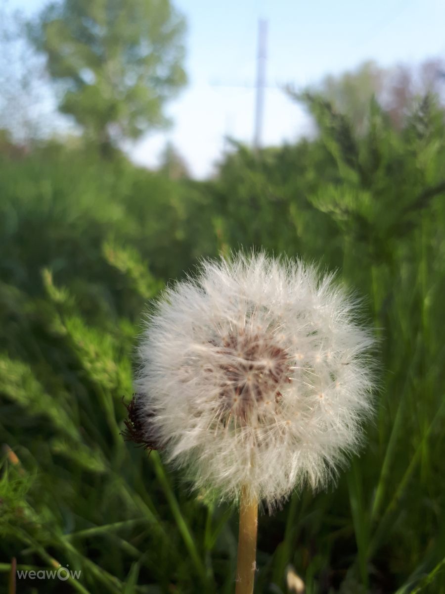Weather Photos in Ukraine. Weather forecasts with beautiful photos by Ivan Barskiy