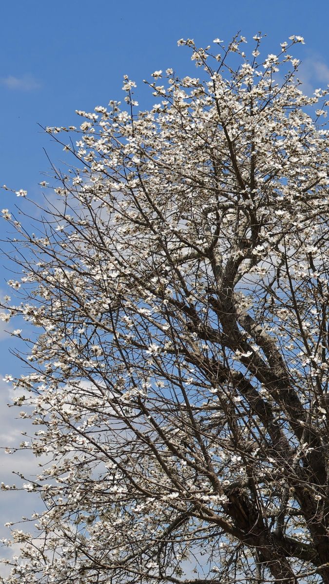 Wetter Photos Florianópolis. Wettervorhersagen mit schönen Fotos von VIAꓨEM_E_HISTÓЯIA