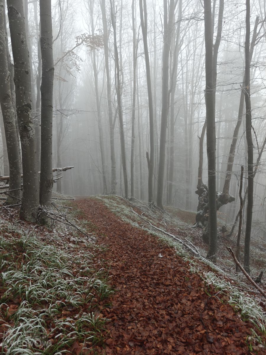 Dự báo thời tiết với những bức ảnh đẹp của Rosiii