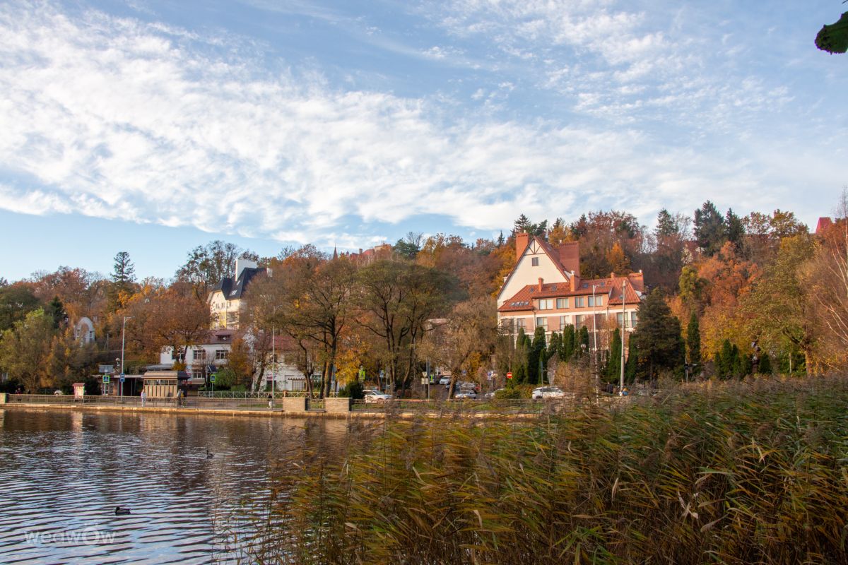 Fotos sobre el clima en Svetlogorsk. Pronósticos del tiempo con hermosas fotos de vintilator