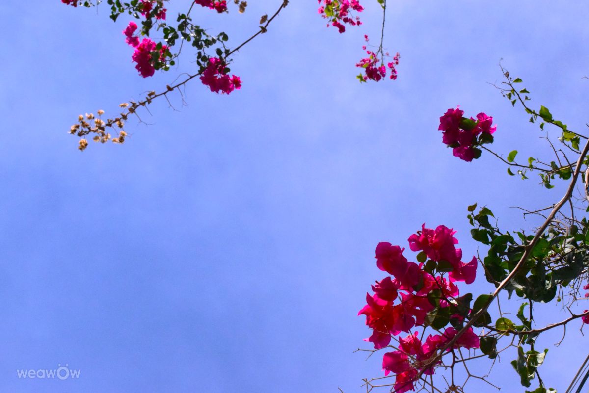 Weather forecasts with beautiful photos by phantran