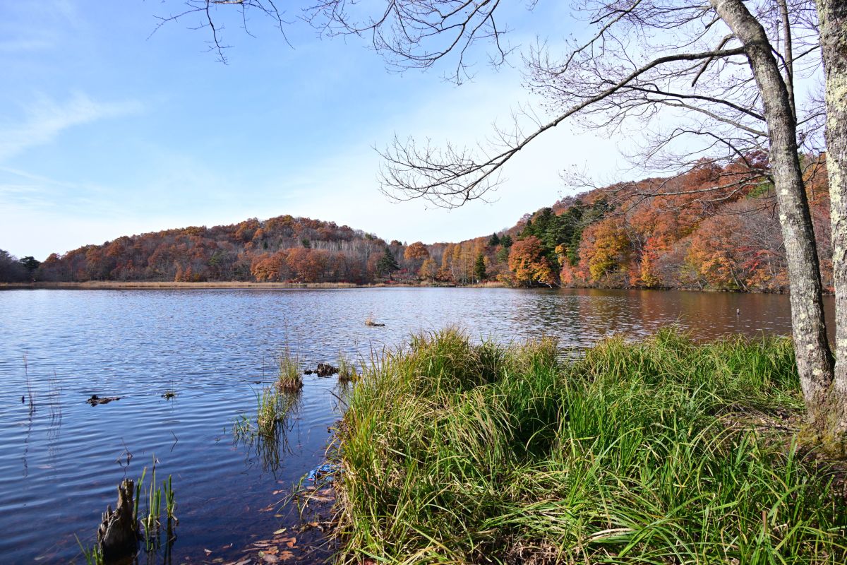 Photographer yoshy, Weather Photos in Minamiaizu - Weawow